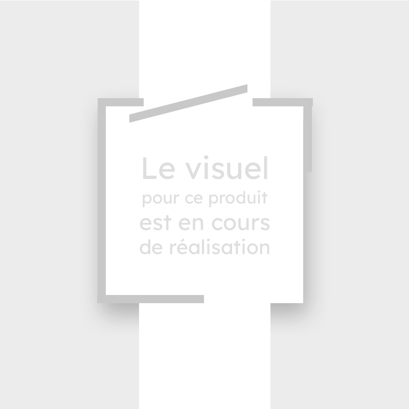 Visuel à venir